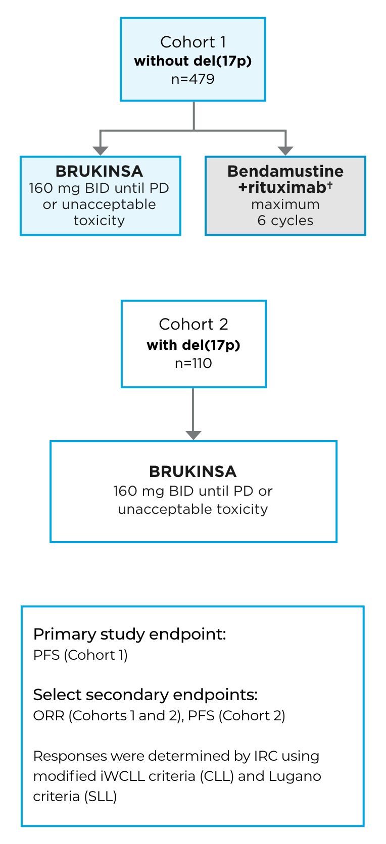 Study design from the SEQUOIA study of BRUKINSA® (zanubrutinib) for CLL