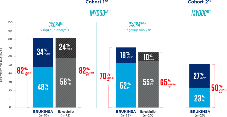 Consistent response data for BRUKINSA® (zanubrutinib) in subgroups with MYD88 mutations